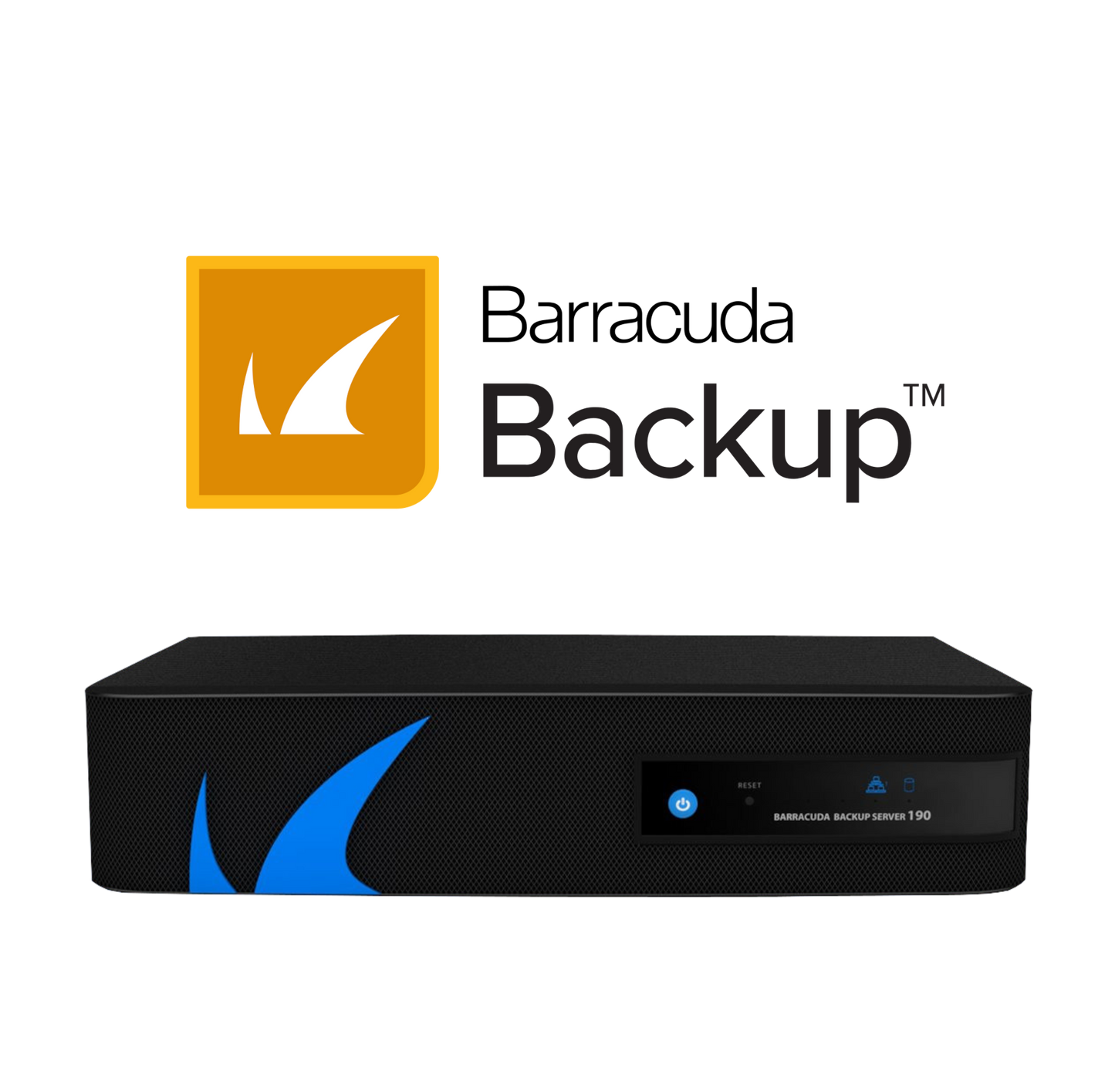 Managed Backup 190 für ca. 500 GB Livedaten