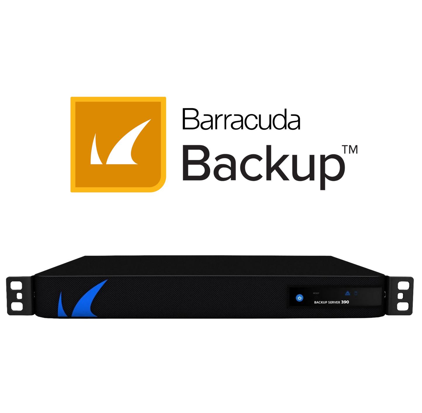 Managed Backup 390 für ca. 2 TB Livedaten