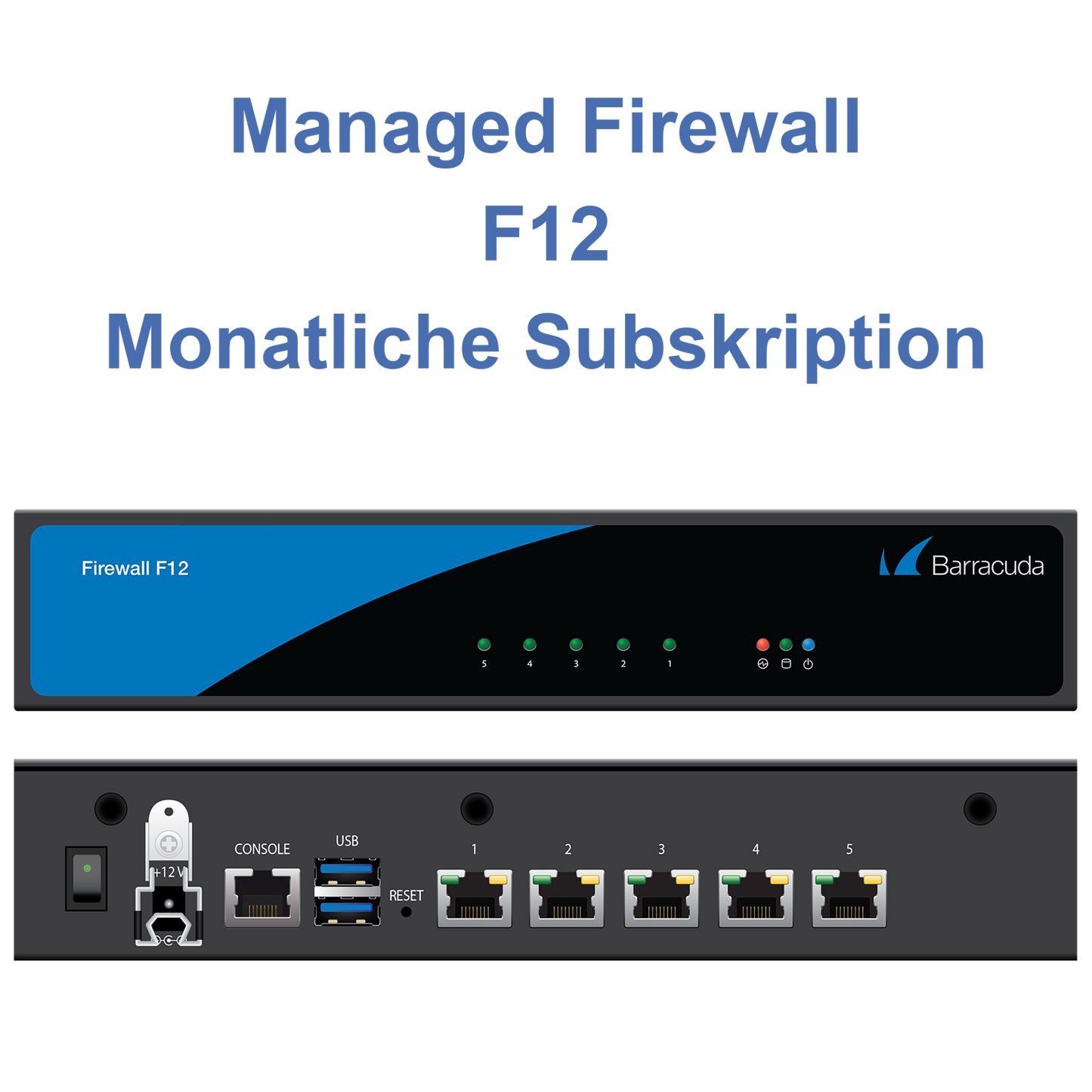 Managed Firewall F12 - monatliche Subskription